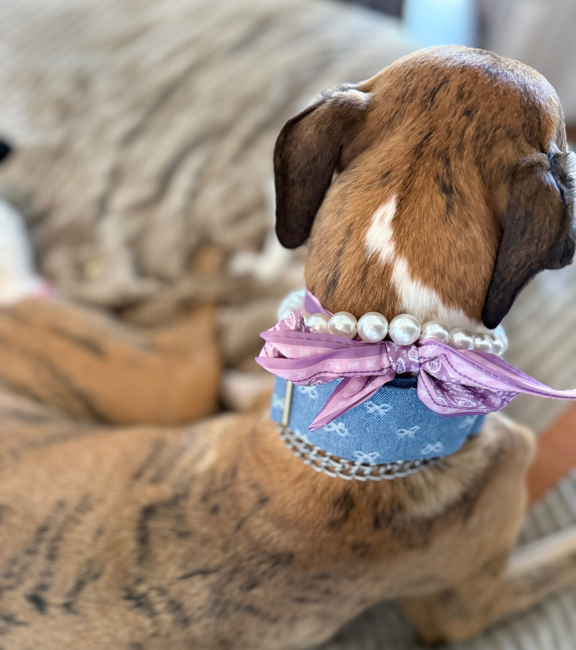 Dog Scarf Necklace - Stylish Dog Accessory