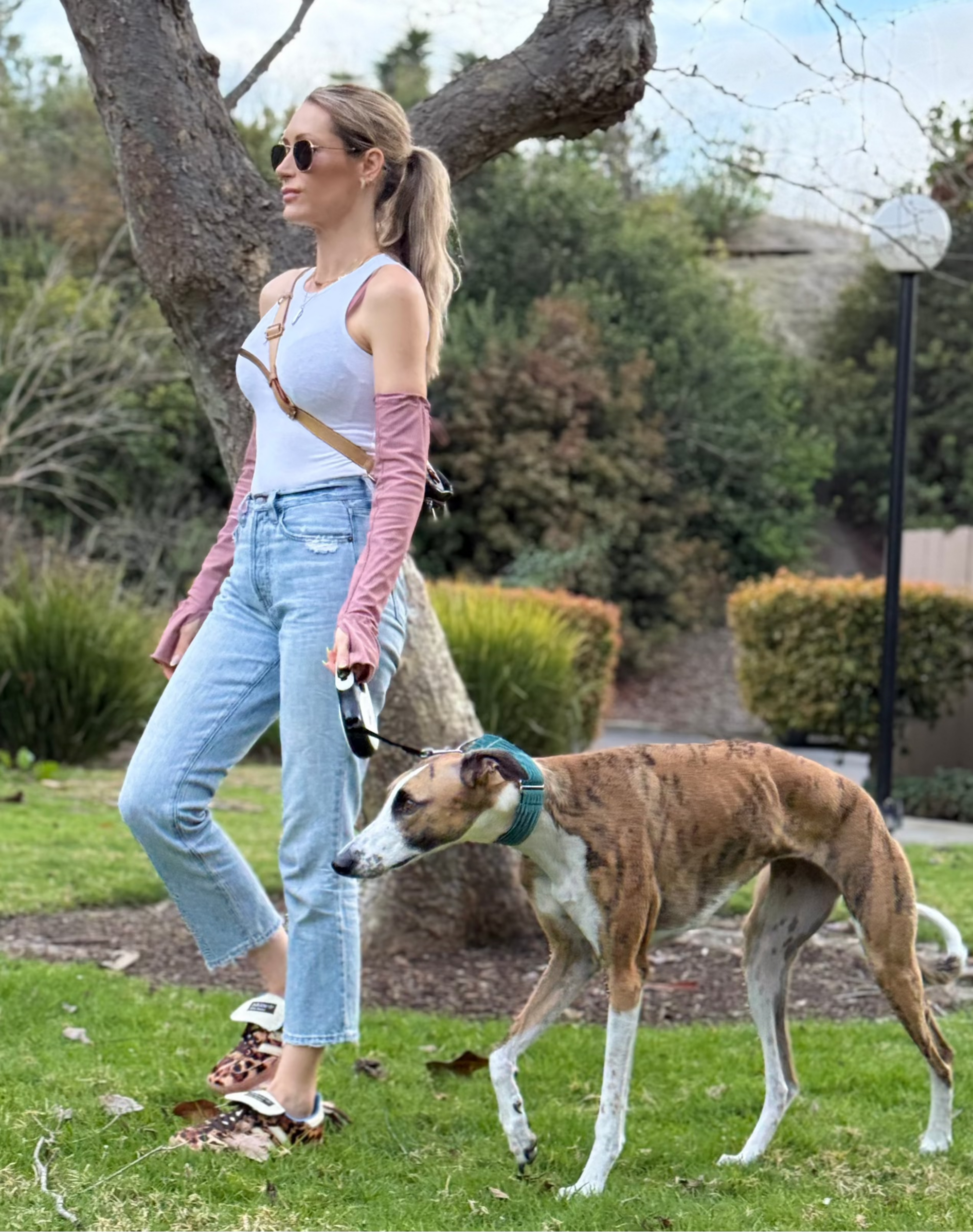 Woman walking a dog on a leash in a park-like setting
